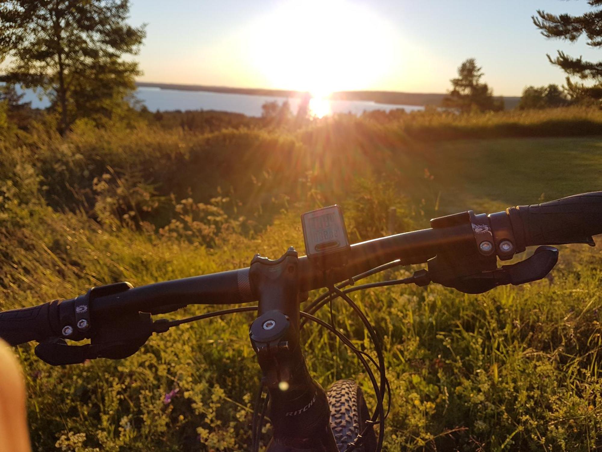 Lustigsgården Bed&Breakfast Rättvik Eksteriør billede